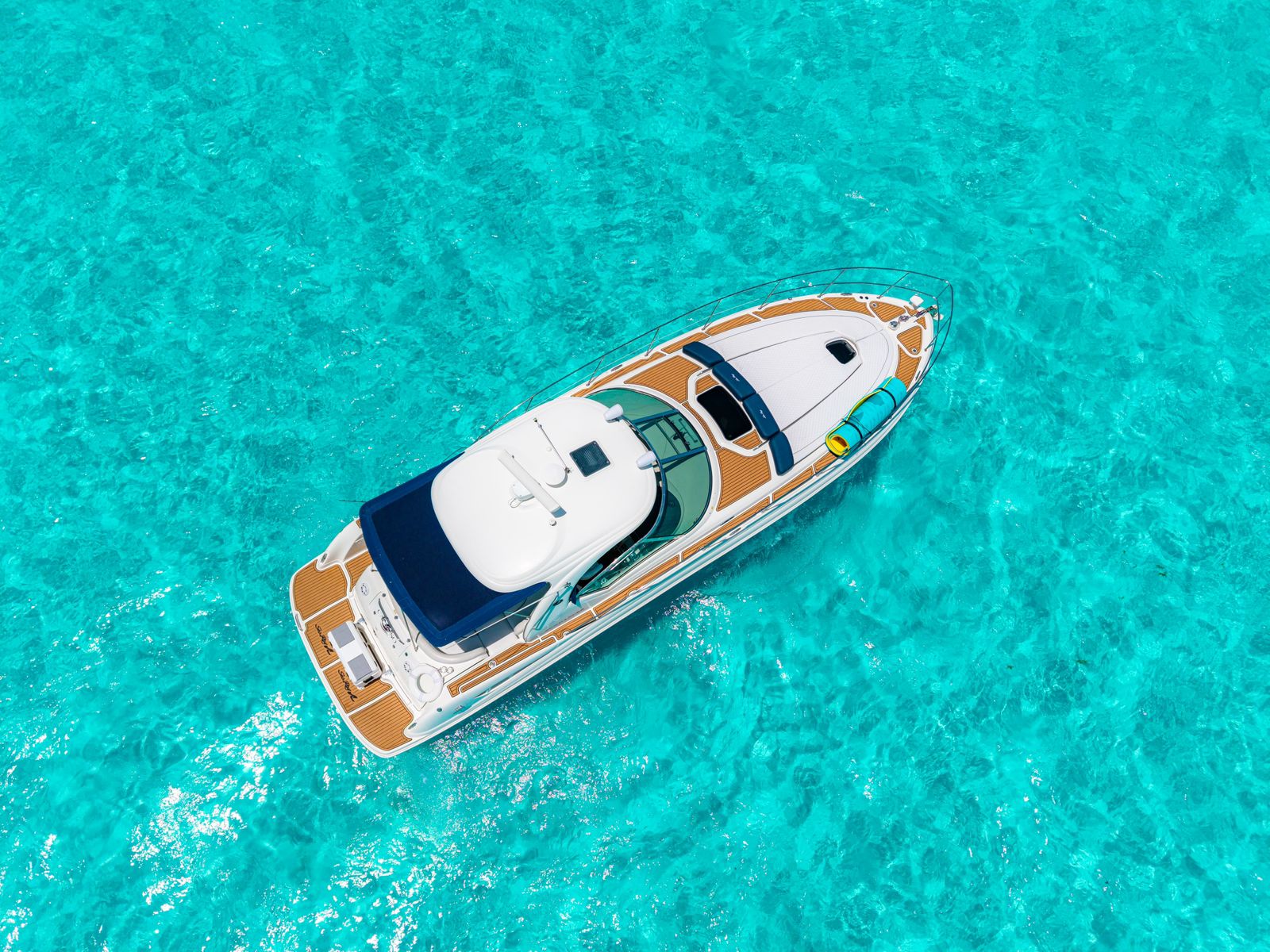 Calypso 44ft | Lujo Moderno y Estilo para 15 Pasajeros