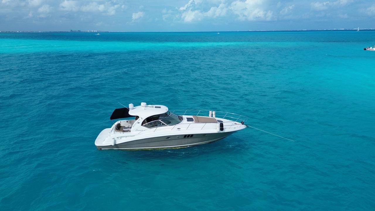Dream Team 44ft | Estilo y Confort para 15 Pasajeros
