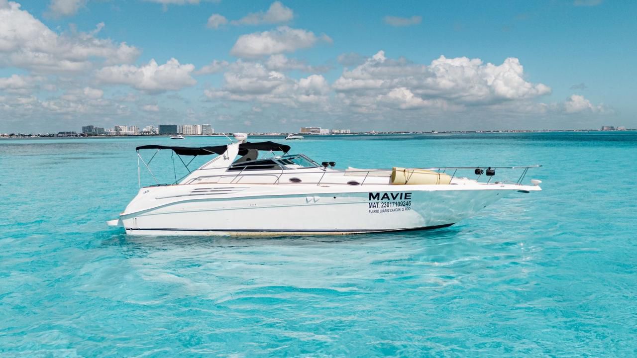 Mavie 45ft | Estilo Deportivo y Lujo para 15 Pasajeros