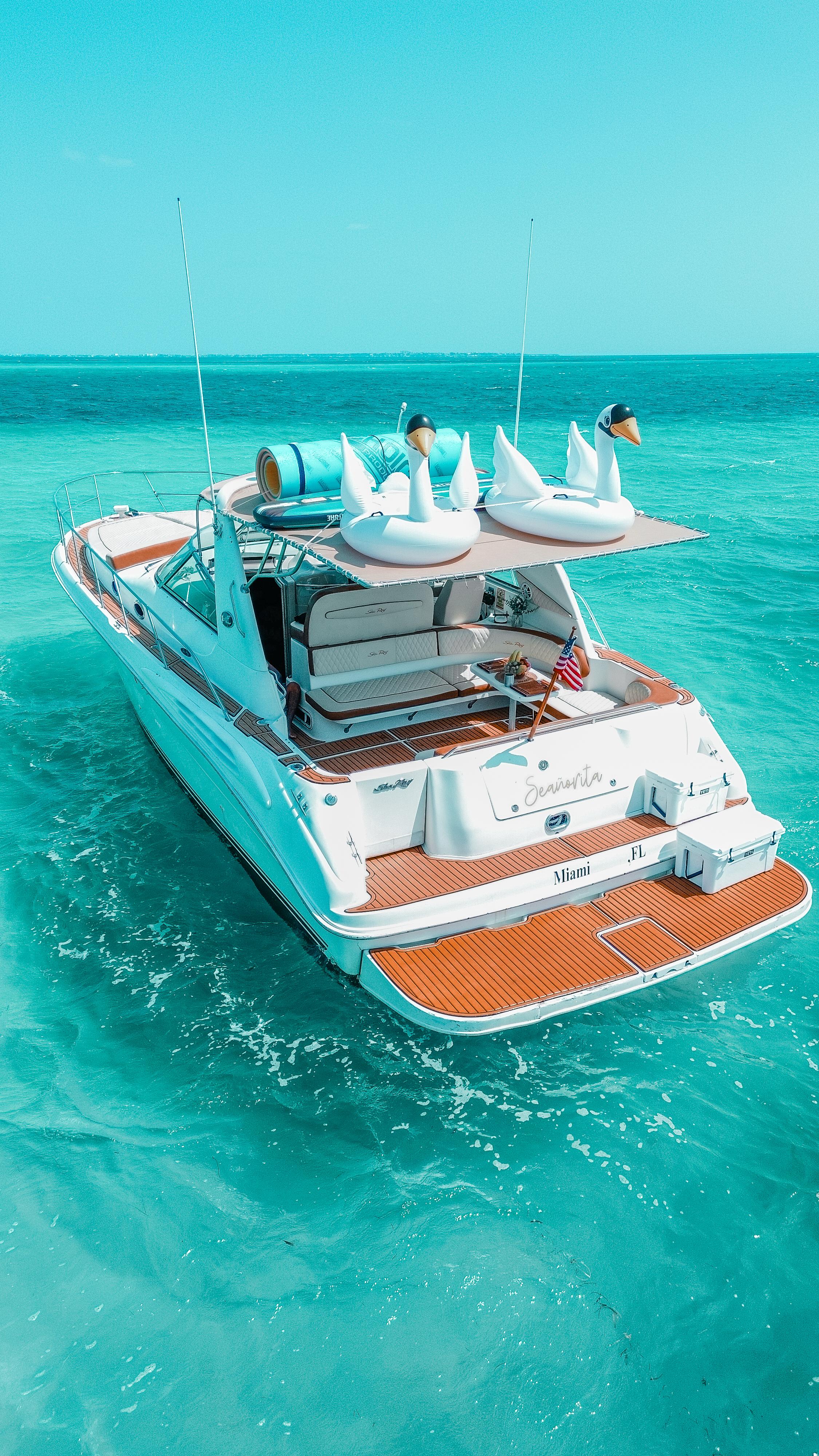 Seañorita 43ft | Elegancia y Diversión para 15 Pasajeros