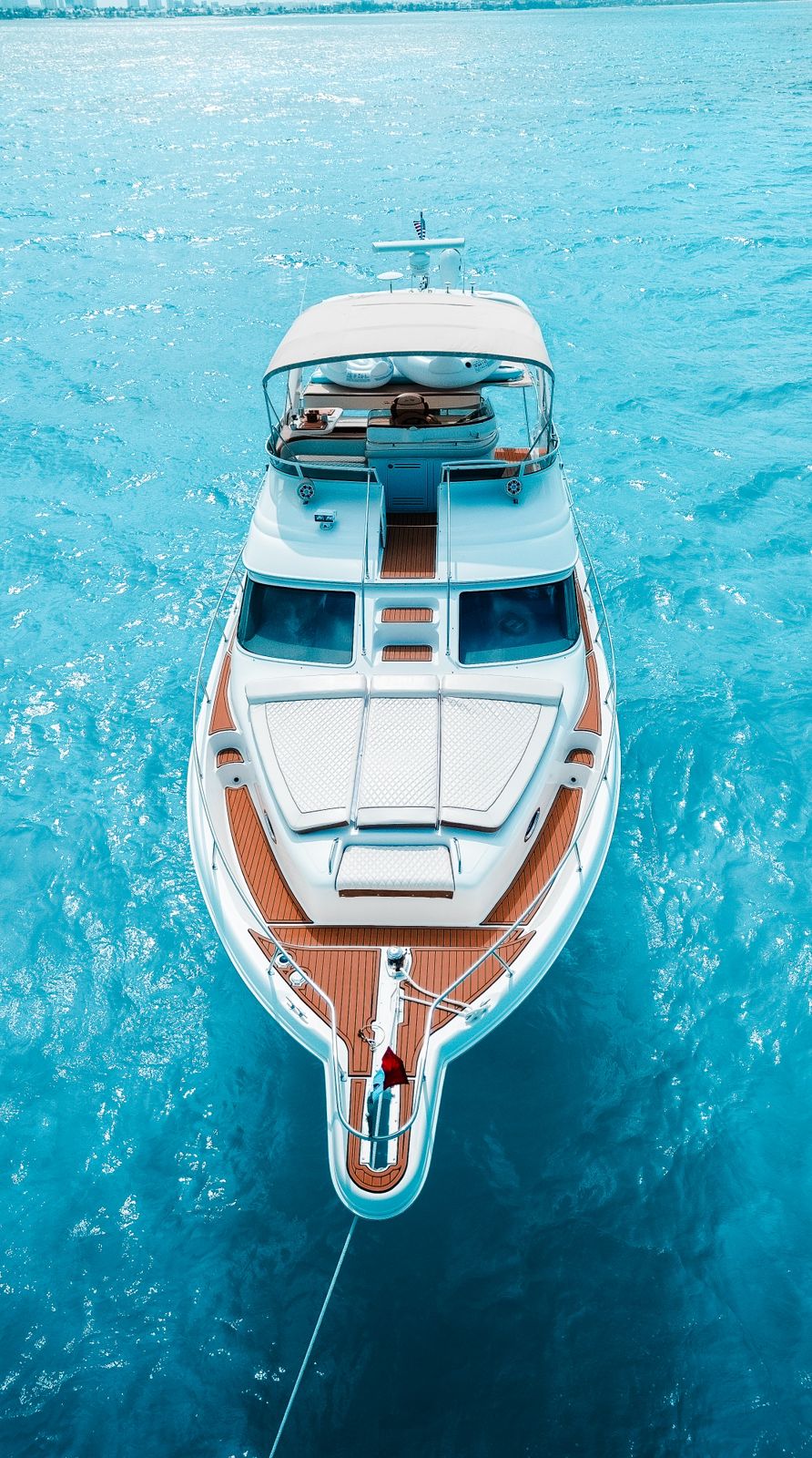 Sea Monkey - Mr Sea 50ft | Gran Capacidad y Lujo para 18 Pasajeros