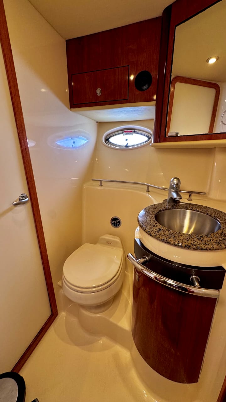 Strange Love 42ft | Estilo Único y Azul para 15 Pasajeros